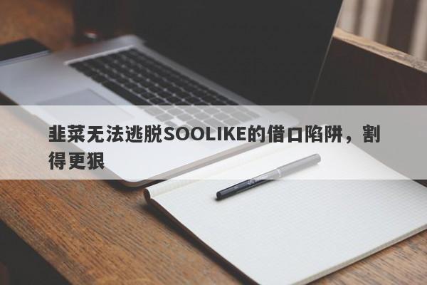 韭菜无法逃脱SOOLIKE的借口陷阱，割得更狠-第1张图片-要懂汇