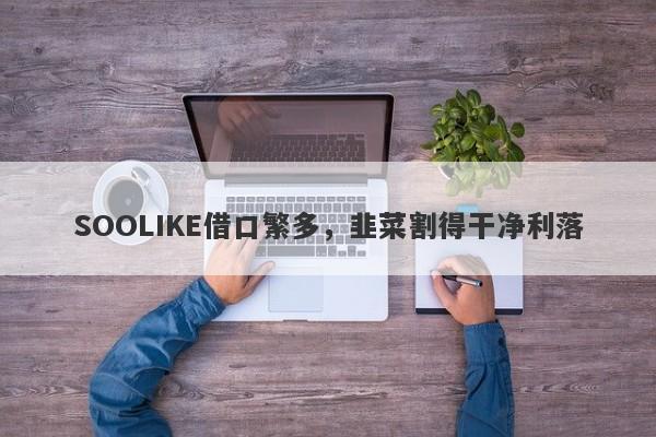 SOOLIKE借口繁多，韭菜割得干净利落-第1张图片-要懂汇