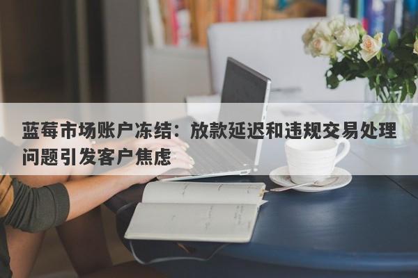 蓝莓市场账户冻结：放款延迟和违规交易处理问题引发客户焦虑-第1张图片-要懂汇