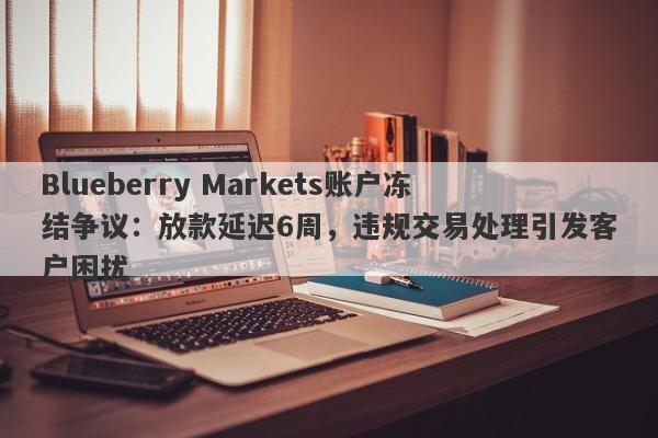 Blueberry Markets账户冻结争议：放款延迟6周，违规交易处理引发客户困扰-第1张图片-要懂汇