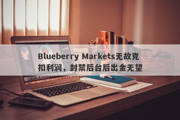 Blueberry Markets无故克扣利润，封禁后台后出金无望-第1张图片-要懂汇