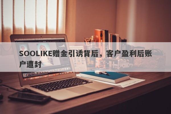 SOOLIKE赠金引诱背后，客户盈利后账户遭封-第1张图片-要懂汇