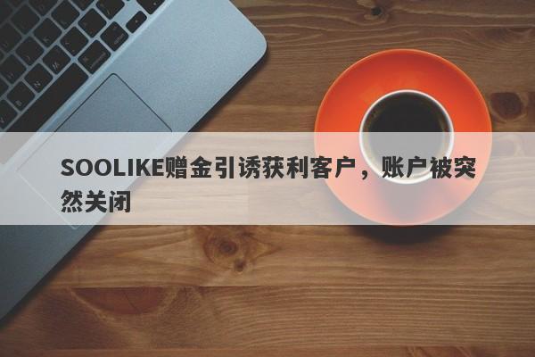 SOOLIKE赠金引诱获利客户，账户被突然关闭-第1张图片-要懂汇