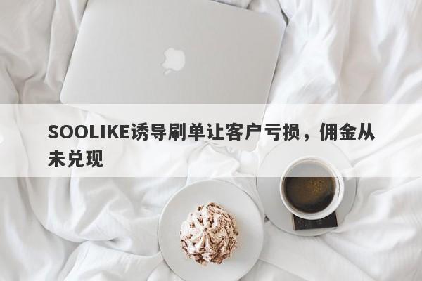 SOOLIKE诱导刷单让客户亏损，佣金从未兑现-第1张图片-要懂汇