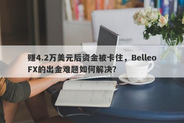 赚4.2万美元后资金被卡住，BelleoFX的出金难题如何解决？-第1张图片-要懂汇