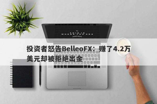 投资者怒告BelleoFX：赚了4.2万美元却被拒绝出金-第1张图片-要懂汇