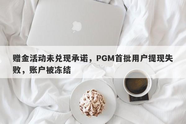 赠金活动未兑现承诺，PGM首批用户提现失败，账户被冻结-第1张图片-要懂汇