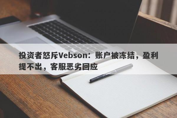 投资者怒斥Vebson：账户被冻结，盈利提不出，客服恶劣回应-第1张图片-要懂汇