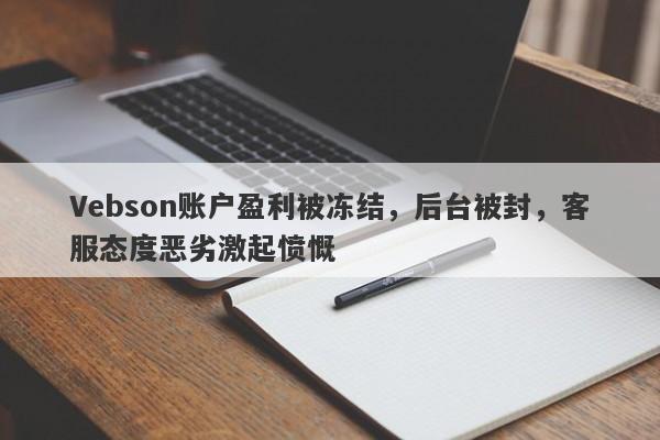 Vebson账户盈利被冻结，后台被封，客服态度恶劣激起愤慨-第1张图片-要懂汇