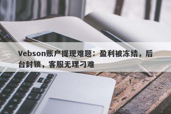 Vebson账户提现难题：盈利被冻结，后台封锁，客服无理刁难-第1张图片-要懂汇