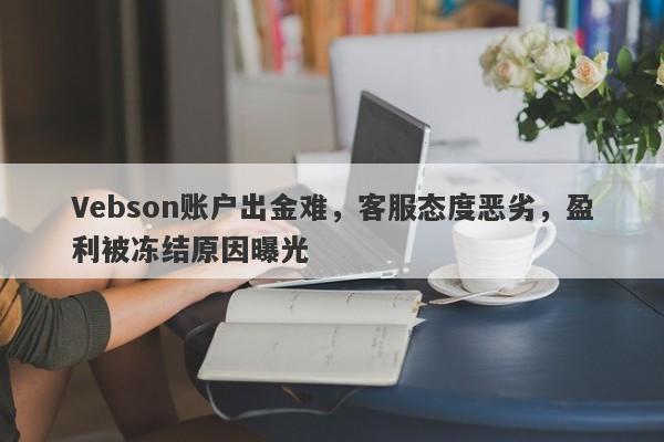 Vebson账户出金难，客服态度恶劣，盈利被冻结原因曝光-第1张图片-要懂汇