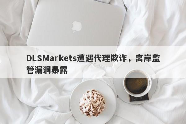 DLSMarkets遭遇代理欺诈，离岸监管漏洞暴露-第1张图片-要懂汇