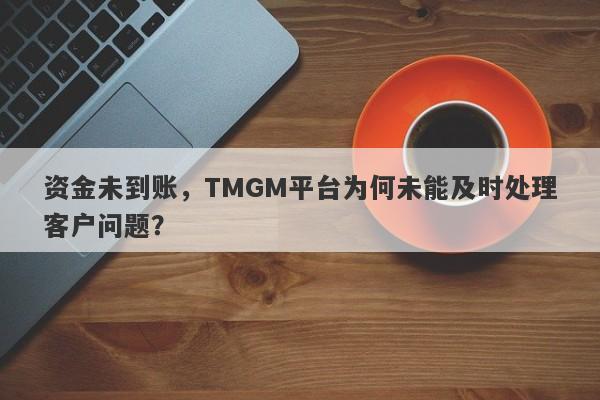 资金未到账，TMGM平台为何未能及时处理客户问题？-第1张图片-要懂汇