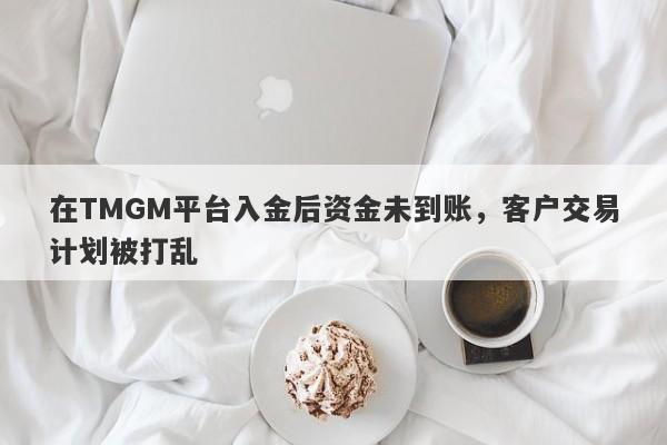 在TMGM平台入金后资金未到账，客户交易计划被打乱-第1张图片-要懂汇