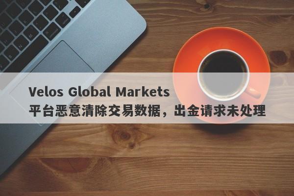 Velos Global Markets平台恶意清除交易数据，出金请求未处理-第1张图片-要懂汇