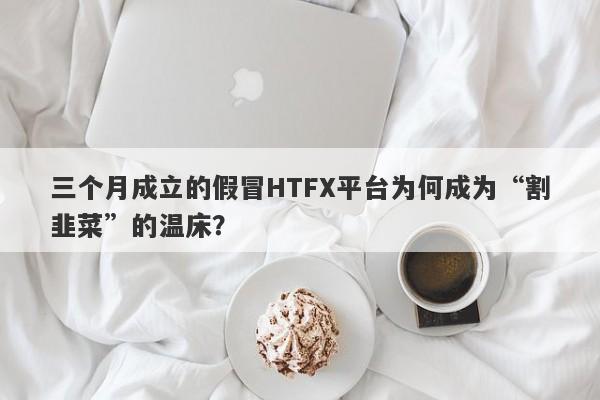 三个月成立的假冒HTFX平台为何成为“割韭菜”的温床？-第1张图片-要懂汇