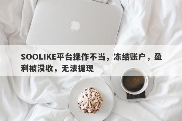 SOOLIKE平台操作不当，冻结账户，盈利被没收，无法提现-第1张图片-要懂汇