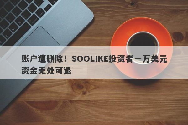 账户遭删除！SOOLIKE投资者一万美元资金无处可退-第1张图片-要懂汇