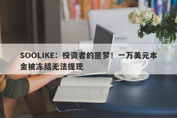 SOOLIKE：投资者的噩梦！一万美元本金被冻结无法提现-第1张图片-要懂汇