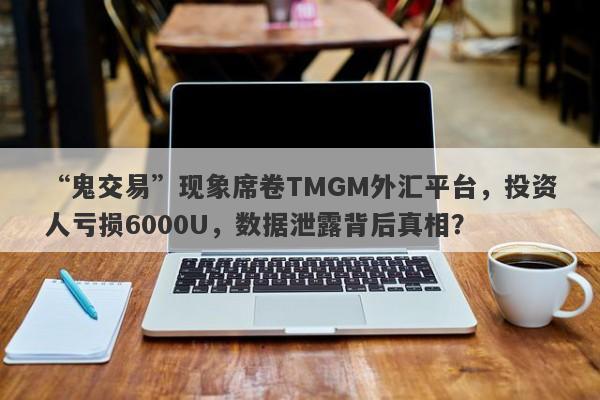 “鬼交易”现象席卷TMGM外汇平台，投资人亏损6000U，数据泄露背后真相？-第1张图片-要懂汇