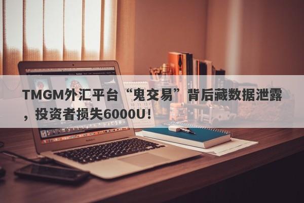 TMGM外汇平台“鬼交易”背后藏数据泄露，投资者损失6000U！-第1张图片-要懂汇